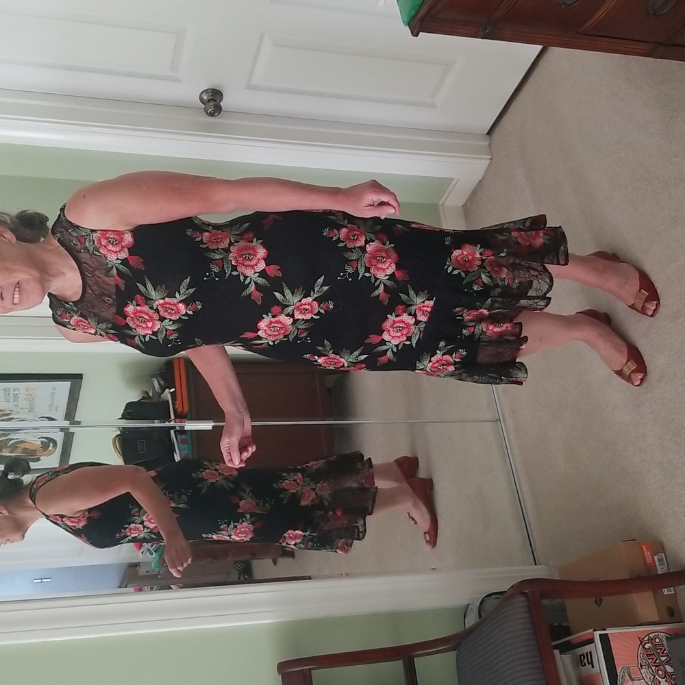 Calvin Klein Embroidered Lace Dress